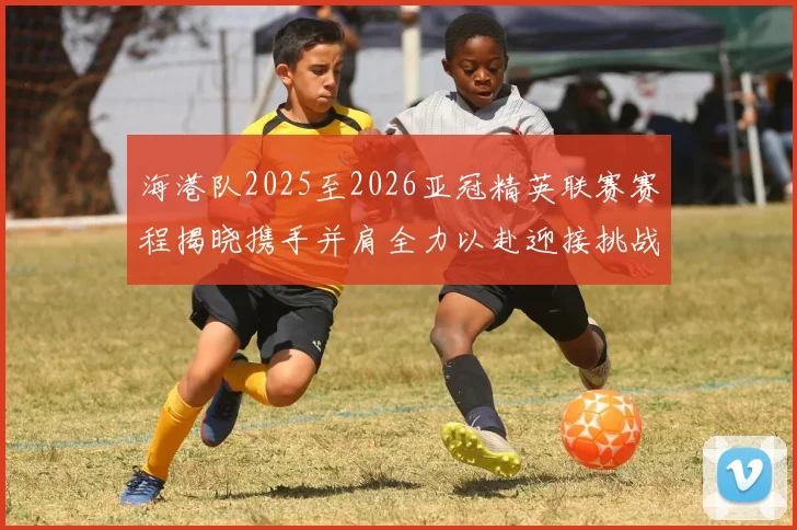海港队2025至2026亚冠精英联赛赛程揭晓携手并肩全力以赴迎接挑战
